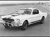 steveshelbymustang's Avatar