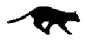 cougar's Avatar