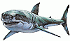 lookout7's Avatar