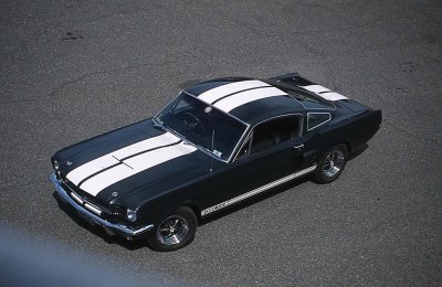 GT 350 033.jpg