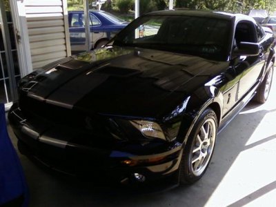 2007 Shelby GT500 - Daniel L. Shaffer.jpg