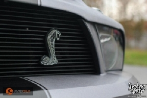 Steel Stallion GT500 (4).jpg