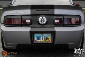 Steel Stallion GT500 (10).jpg