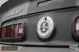 Steel Stallion GT500 (11).jpg