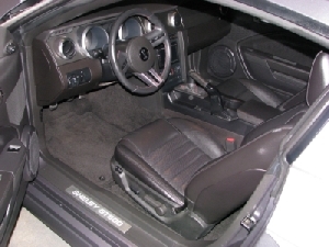 Steel Stallion GT500 (14).JPG