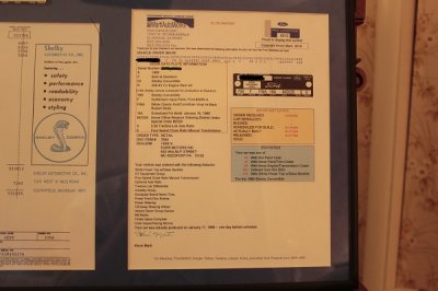 shelbymartireport 012resized.jpg