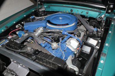 Shelby new top and interior 013.jpg