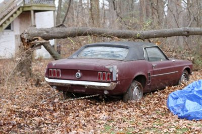 IMG_6850 compressed.jpg