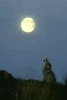 Night Stalker