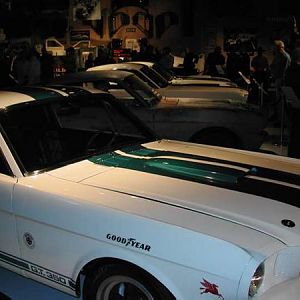 Shelby Mustang GT 350