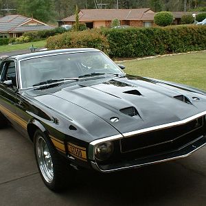 Member Album by aussie69GT500