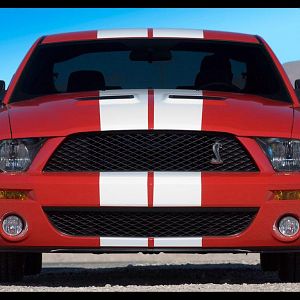 2007 Ford Shelby GT500