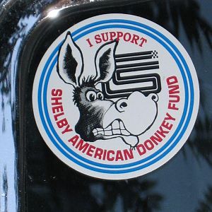 Shelby American Donkey Found
