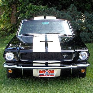 1965 GT350 Clone in Black