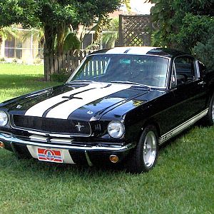 1965 GT350 Clone in Black