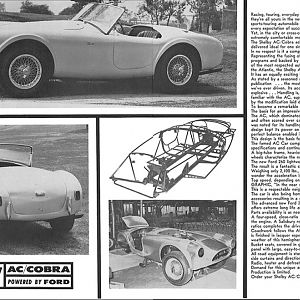 260 Cobra Ad