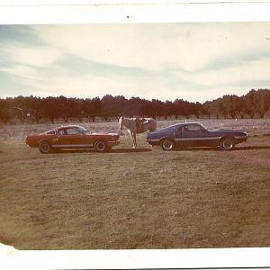 66 & 69 Farm Pasture