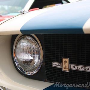 Los Angeles Shelby Club Show