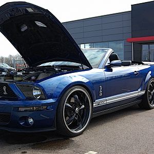 Member Album by DrMike