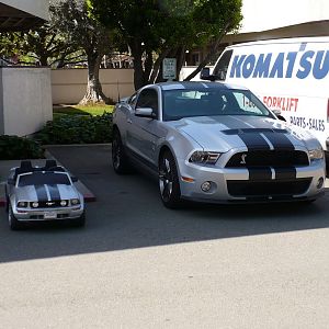 Member Album by Tank Mechanic