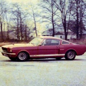Early 70s Shelbys in Tidewater VA