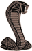 solotex55's Avatar