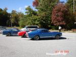 Fall Cruise 2008