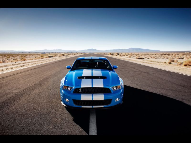  2010 Ford Shelby GT500
