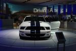 NAIAS 2006 White 2007 GT500