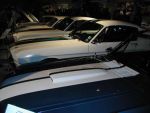 Mustangs Lined Up