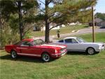 1966 Fastback and 1966 Shelby Rebody