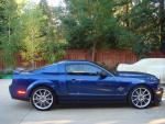 FoxsSuperSnake