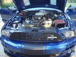 FoxsSuperSnake