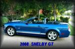 9.29.09.sheby 001.forumr by springer in Member Galleries