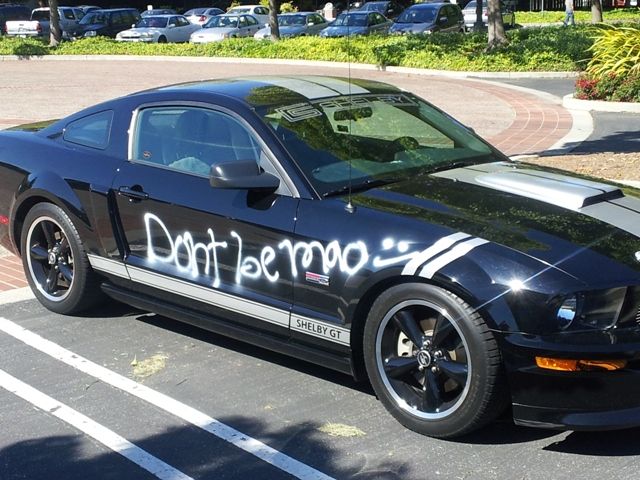 Unwanted Custom paint.