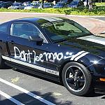 Unwanted Custom paint.