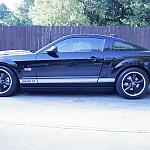 2007 GT