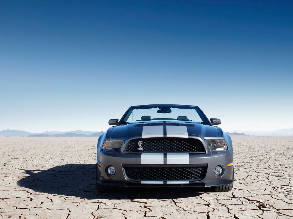 2010 Shelby Gt500